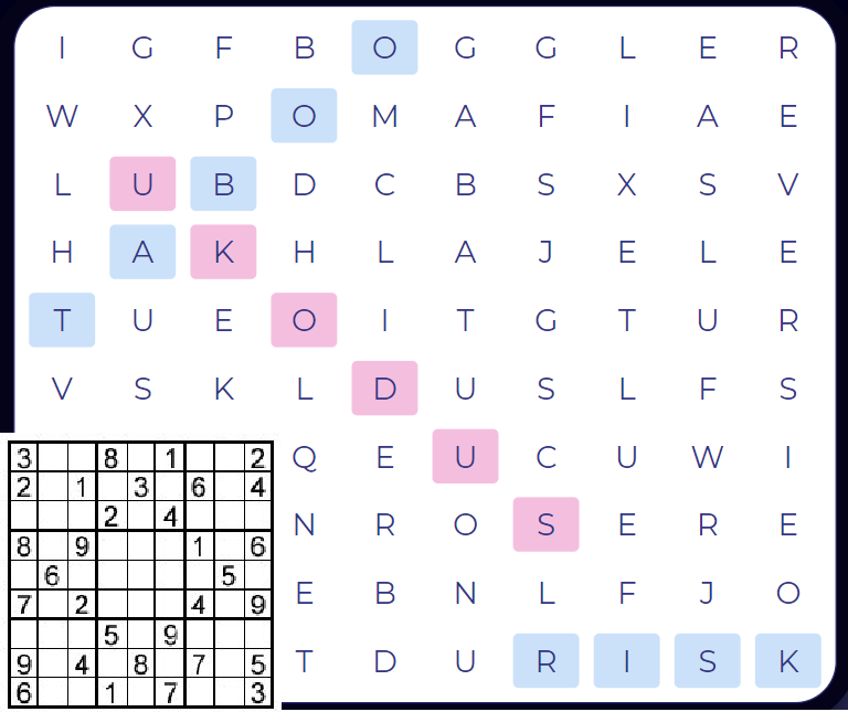 Today is International Sudoku Day